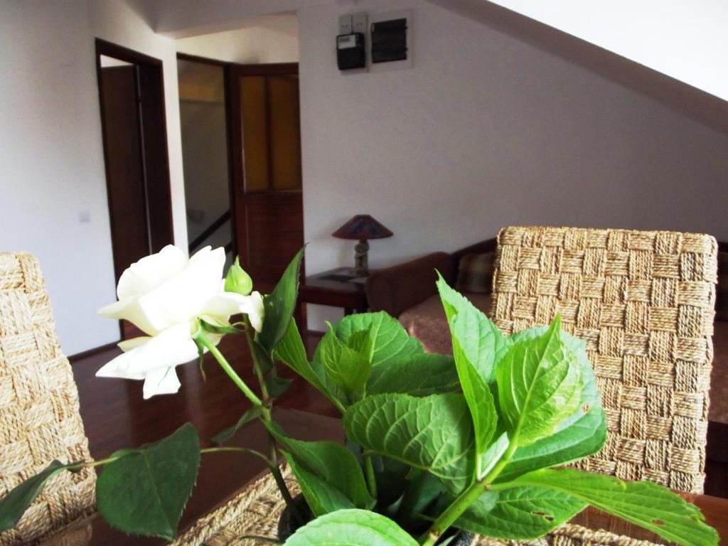 Apartments Budva Center Quarto foto